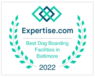 Top Dog Boarding Facility in Baltimore
